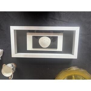 Hand Crafted One of a Kind Shadow Box With Sand Dollar